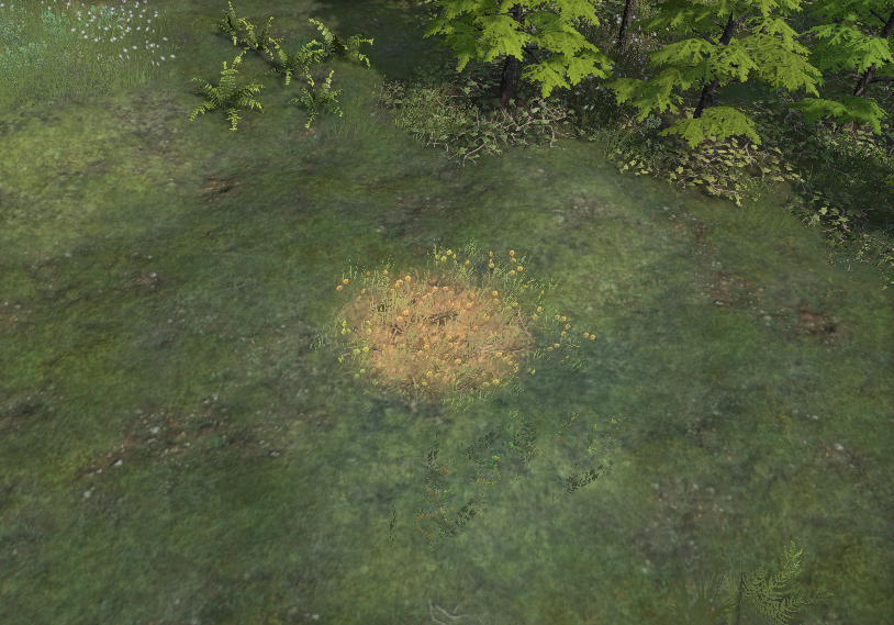 Splat grass 4