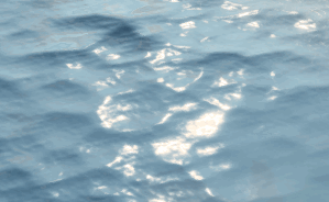 FlowReset.gif